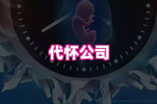 乐乐助孕网 1