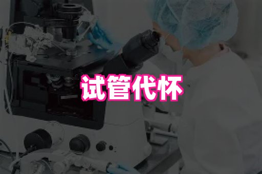 乐乐助孕网 2