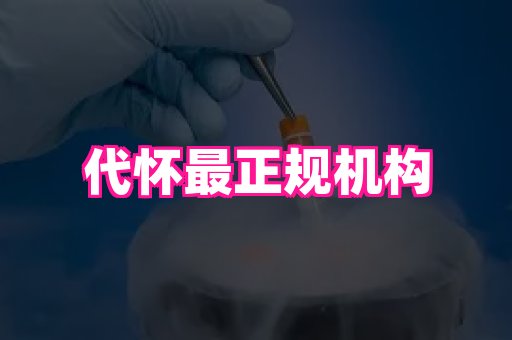 乐乐助孕网 3